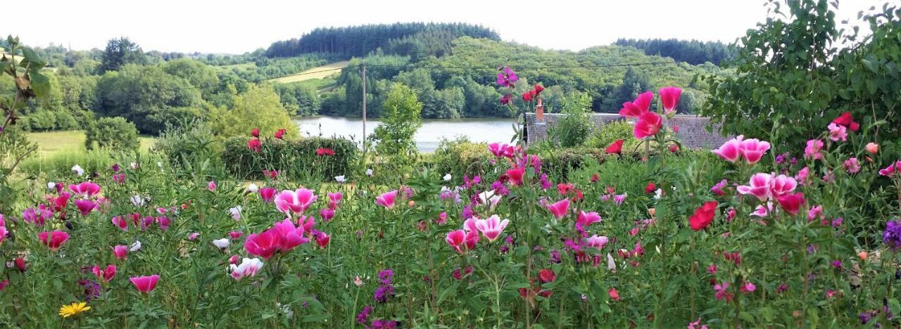Holiday home De Rangere, Rangere Rural